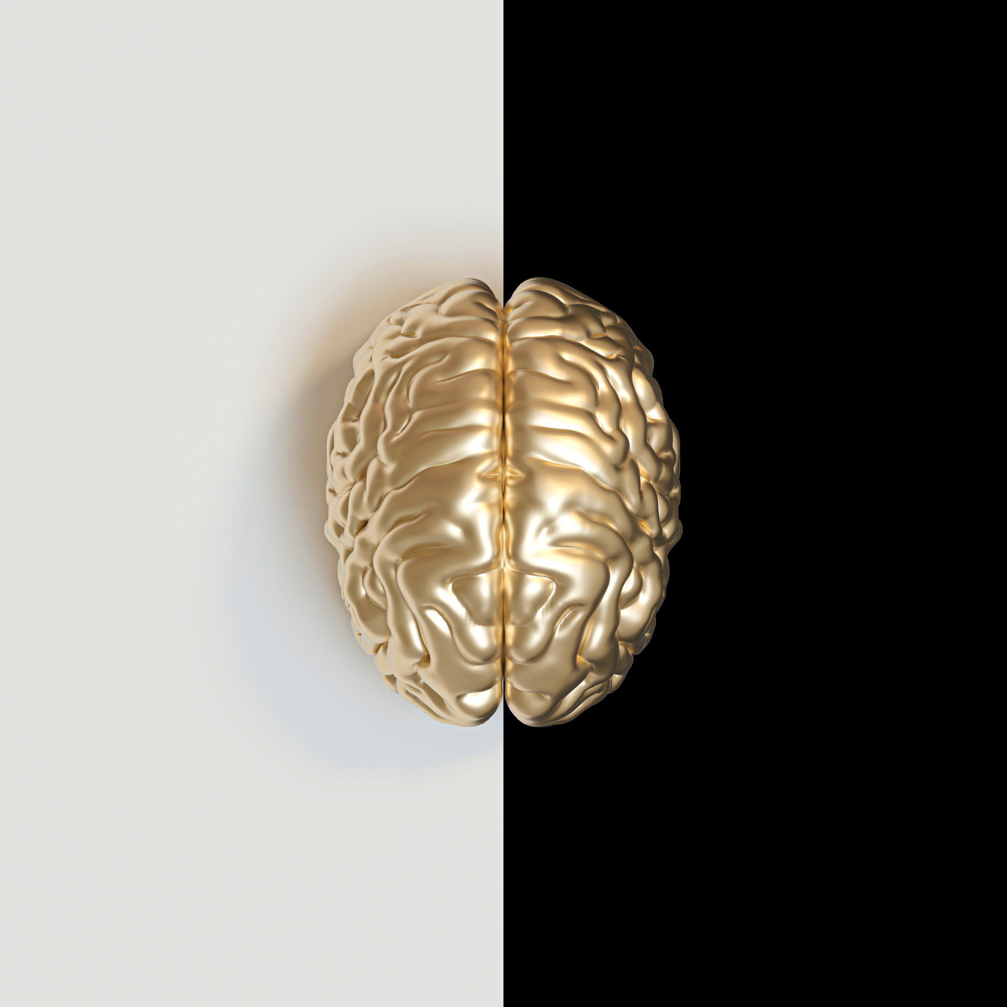 Gold-Colored Human Brain